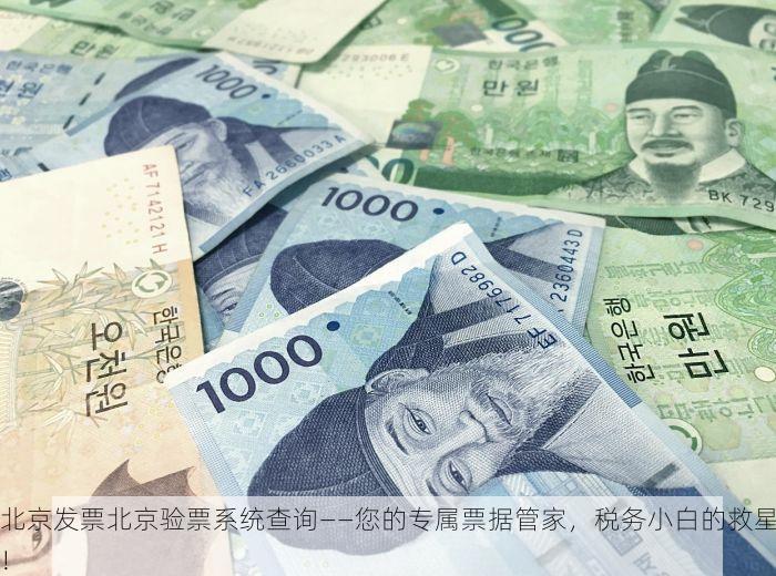 北京发票北京验票系统查询——您的专属票据管家，税务小白的救星！