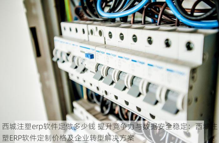 西城注塑erp软件定做多少钱 提升竞争力与数据安全稳定：西城注塑ERP软件定制价格及企业转型解决方案