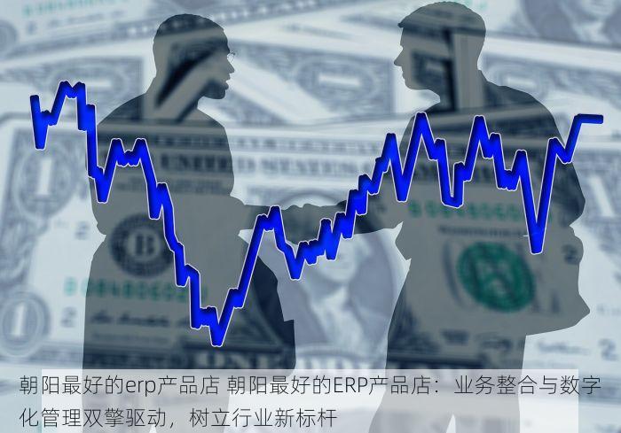 朝阳最好的erp产品店 朝阳最好的ERP产品店：业务整合与数字化管理双擎驱动，树立行业新标杆