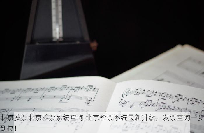 北京发票北京验票系统查询 北京验票系统最新升级，发票查询一步到位！