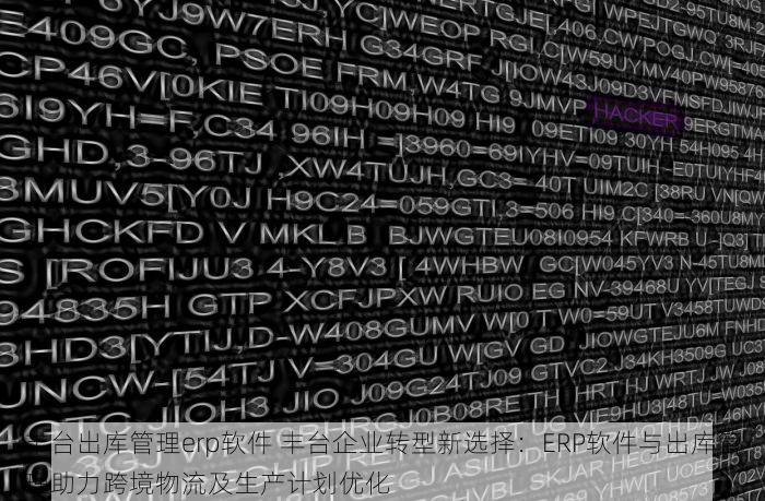 丰台出库管理erp软件 丰台企业转型新选择：ERP软件与出库管理助力跨境物流及生产计划优化