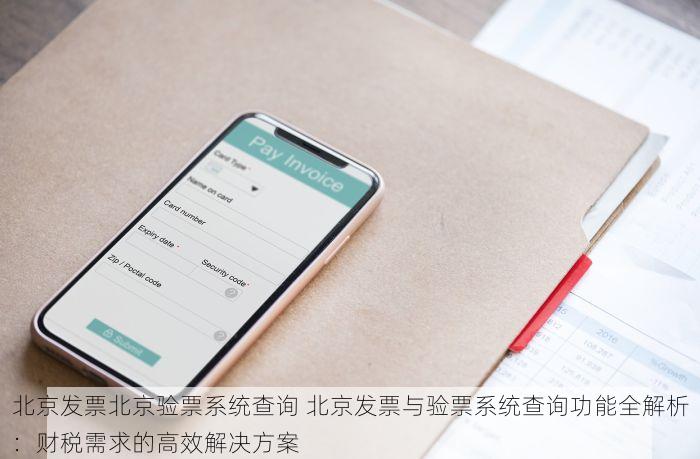 北京发票北京验票系统查询 北京发票与验票系统查询功能全解析：财税需求的高效解决方案
