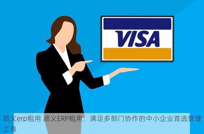 顺义erp租用 顺义ERP租用：满足多部门协作的中小企业首选管理工具