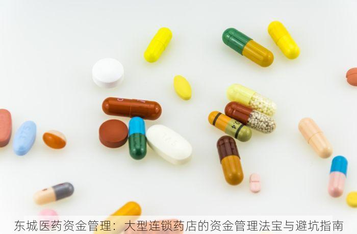 东城医药资金管理：大型连锁药店的资金管理法宝与避坑指南