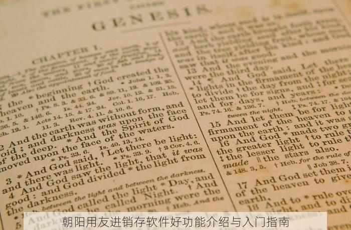 朝阳用友进销存软件好功能介绍与入门指南