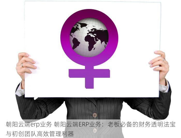 朝阳云端erp业务 朝阳云端ERP业务：老板必备的财务透明法宝与初创团队高效管理利器