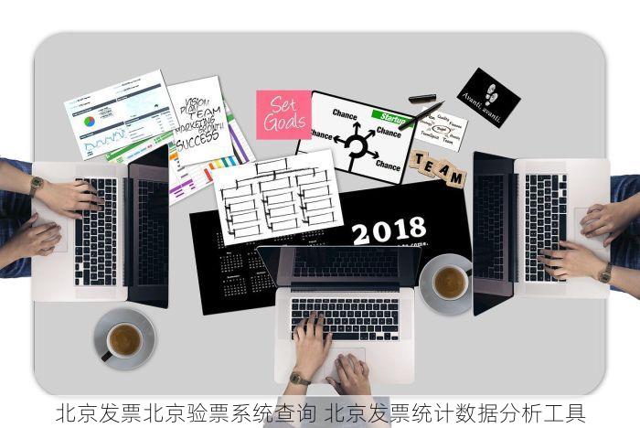 北京发票北京验票系统查询 北京发票统计数据分析工具