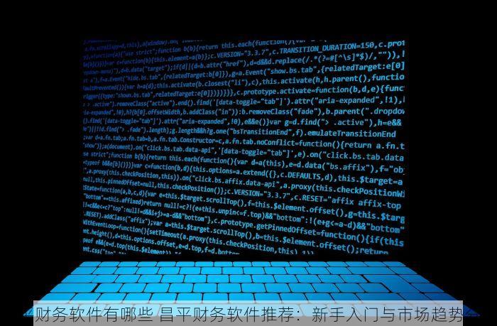 昌平财务软件有哪些 昌平财务软件推荐：新手入门与市场趋势分析