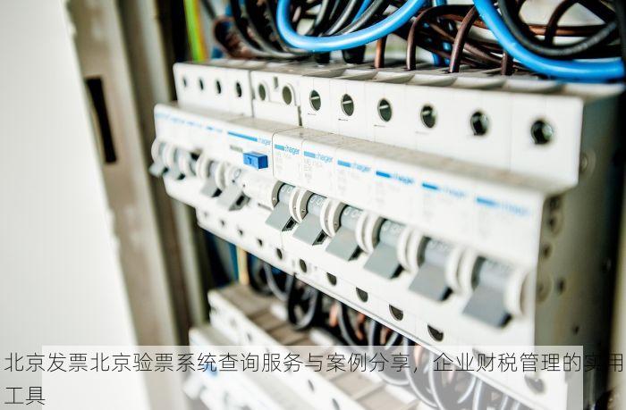 北京发票北京验票系统查询服务与案例分享，企业财税管理的实用工具