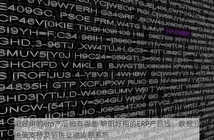 朝阳好用的erp产品线有哪些 朝阳好用的ERP产品线：数据分析与决策支持及销售业绩追踪系统