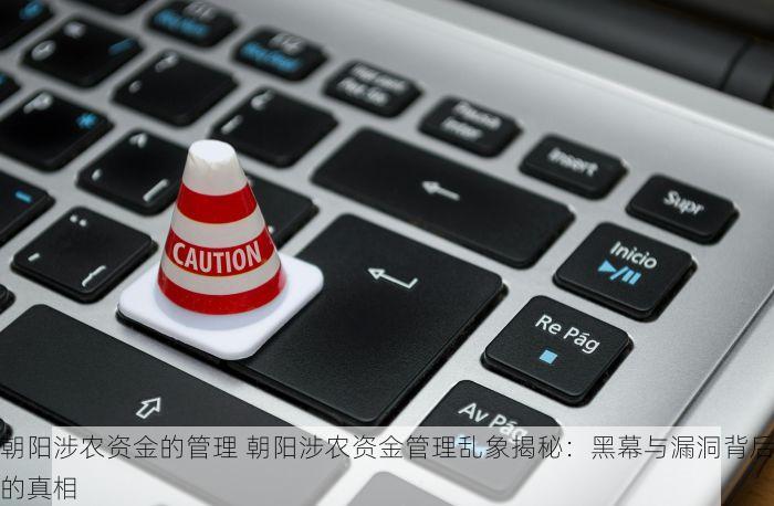 朝阳涉农资金的管理 朝阳涉农资金管理乱象揭秘：黑幕与漏洞背后的真相