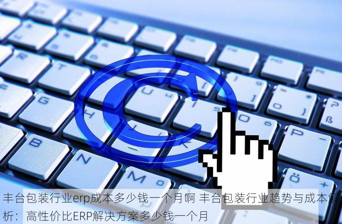 丰台包装行业erp成本多少钱一个月啊 丰台包装行业趋势与成本解析：高性价比ERP解决方案多少钱一个月