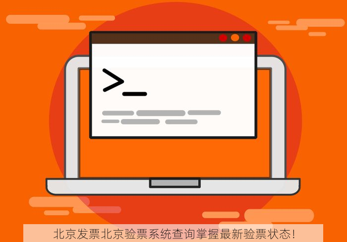 北京发票北京验票系统查询掌握最新验票状态！