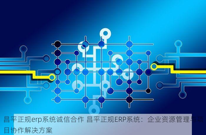 昌平正规erp系统诚信合作 昌平正规ERP系统：企业资源管理与项目协作解决方案