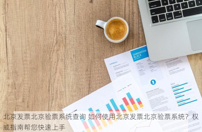 北京发票北京验票系统查询 如何使用北京发票北京验票系统？权威指南帮您快速上手