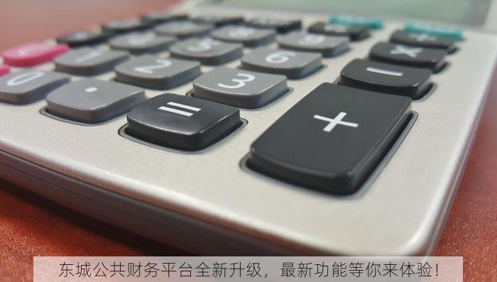 东城公共财务平台全新升级，最新功能等你来体验！