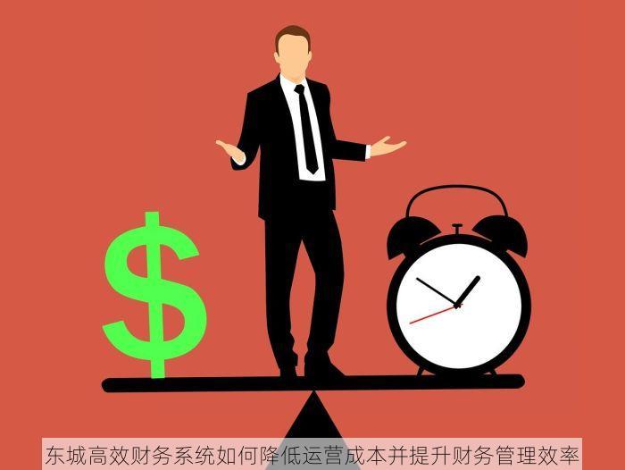 东城高效财务系统如何降低运营成本并提升财务管理效率