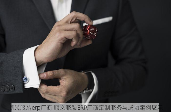 顺义服装erp厂商 顺义服装ERP厂商定制服务与成功案例展示