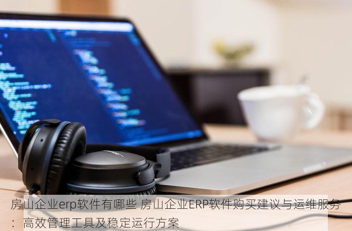 房山企业erp软件有哪些 房山企业ERP软件购买建议与运维服务：高效管理工具及稳定运行方案