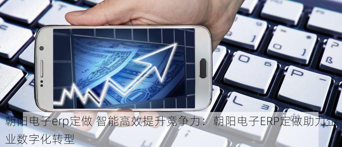 朝阳电子erp定做 智能高效提升竞争力：朝阳电子ERP定做助力企业数字化转型