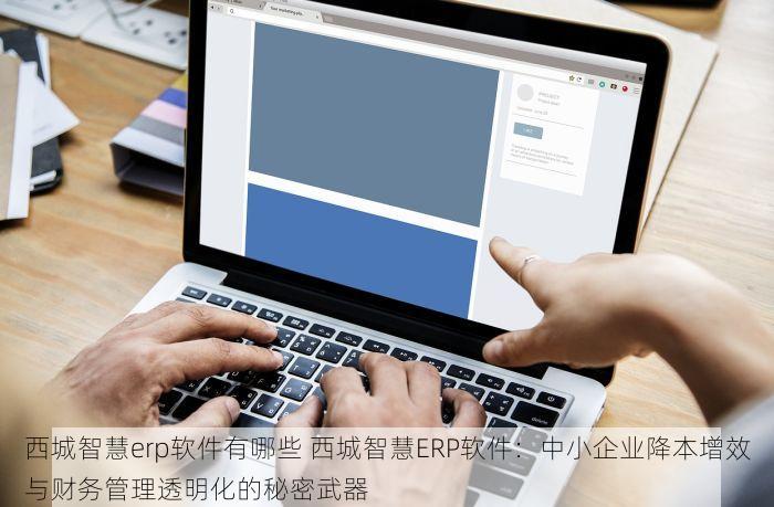 西城智慧erp软件有哪些 西城智慧ERP软件：中小企业降本增效与财务管理透明化的秘密武器