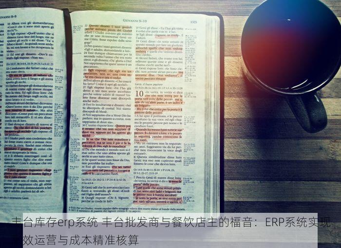 丰台库存erp系统 丰台批发商与餐饮店主的福音：ERP系统实现高效运营与成本精准核算