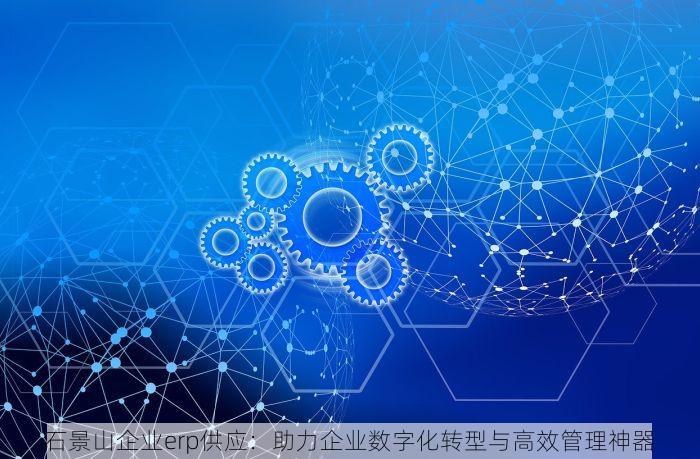 石景山企业erp供应：助力企业数字化转型与高效管理神器