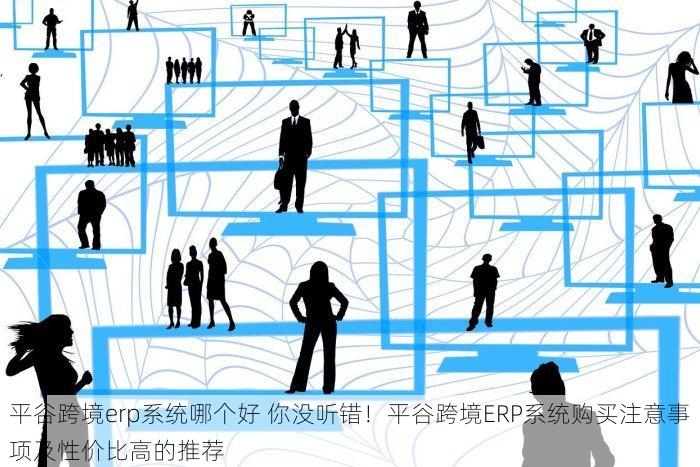 平谷跨境erp系统哪个好 你没听错！平谷跨境ERP系统购买注意事项及性价比高的推荐