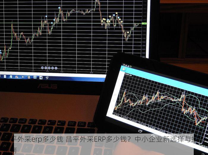 昌平外采erp多少钱 昌平外采ERP多少钱？中小企业新选择与操作指南