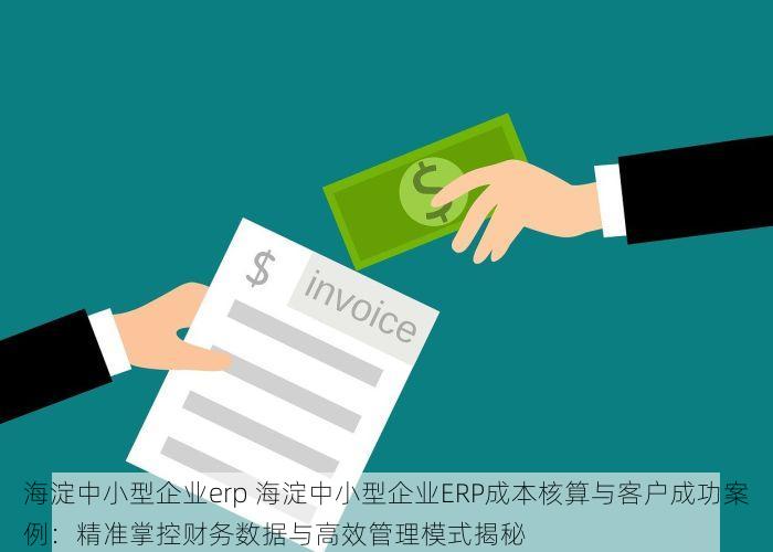 海淀中小型企业erp 海淀中小型企业ERP成本核算与客户成功案例：精准掌控财务数据与高效管理模式揭秘