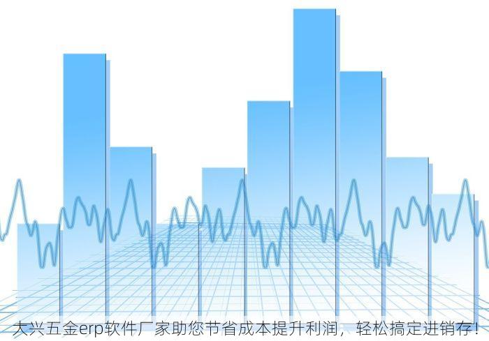 大兴五金erp软件厂家助您节省成本提升利润，轻松搞定进销存！