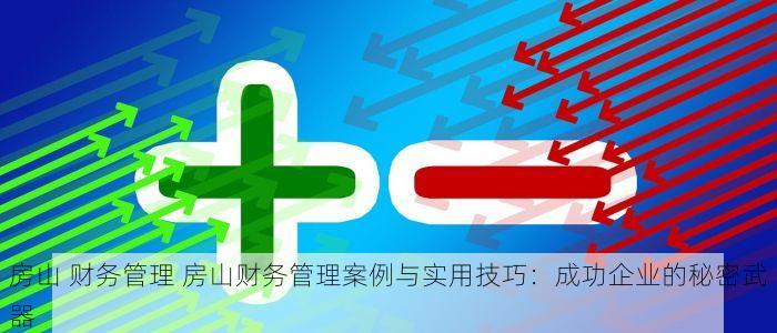 房山 财务管理 房山财务管理案例与实用技巧：成功企业的秘密武器