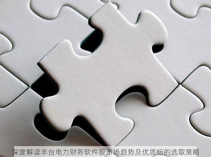 深度解读丰台电力财务软件股市场趋势及优质标的选取策略