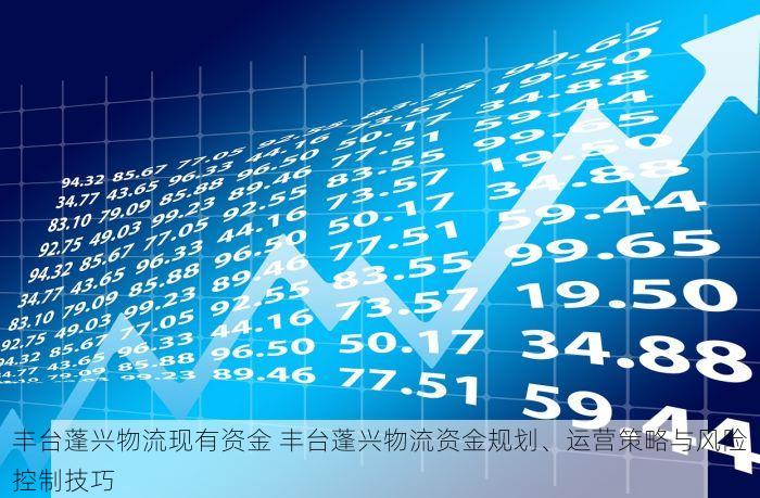 丰台蓬兴物流现有资金 丰台蓬兴物流资金规划、运营策略与风险控制技巧