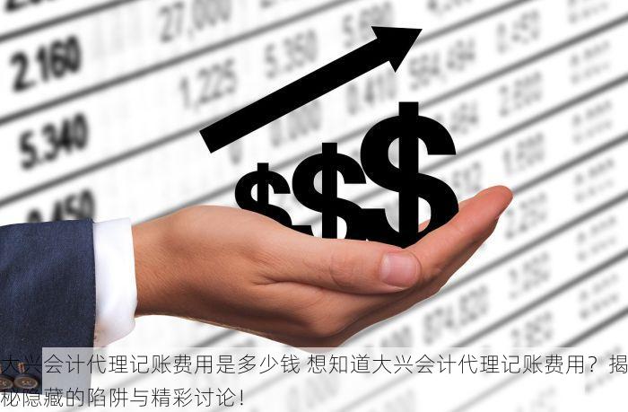 大兴会计代理记账费用是多少钱 想知道大兴会计代理记账费用？揭秘隐藏的陷阱与精彩讨论！