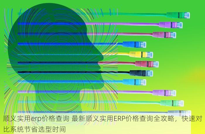 顺义实用erp价格查询 最新顺义实用ERP价格查询全攻略，快速对比系统节省选型时间