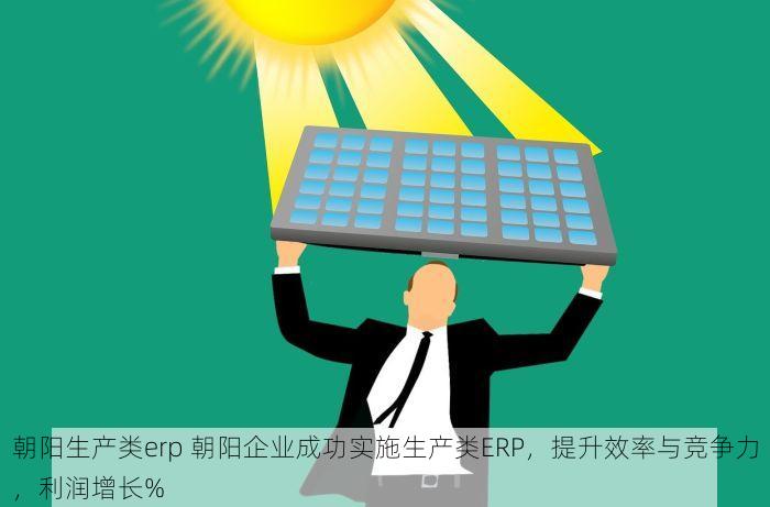 朝阳生产类erp 朝阳企业成功实施生产类ERP，提升效率与竞争力，利润增长%