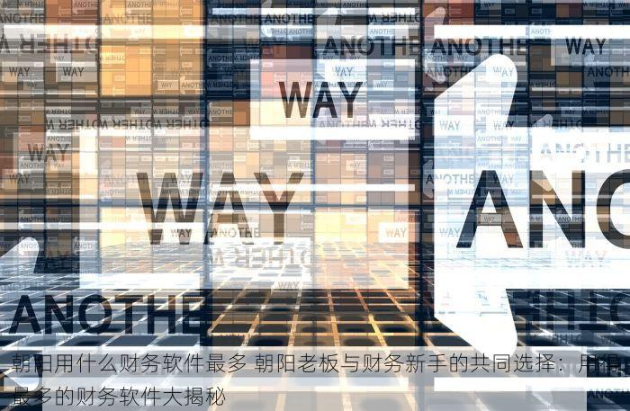 朝阳用什么财务软件最多 朝阳老板与财务新手的共同选择：用得最多的财务软件大揭秘