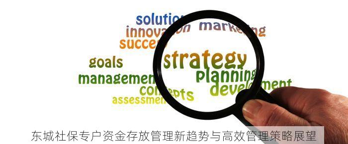 东城社保专户资金存放管理新趋势与高效管理策略展望