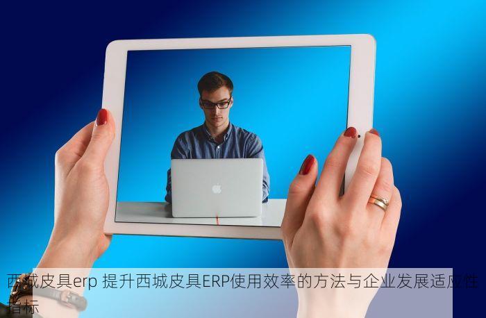 西城皮具erp 提升西城皮具ERP使用效率的方法与企业发展适应性指标