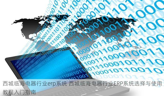 西城临海电器行业erp系统 西城临海电器行业ERP系统选择与使用教程入门指南