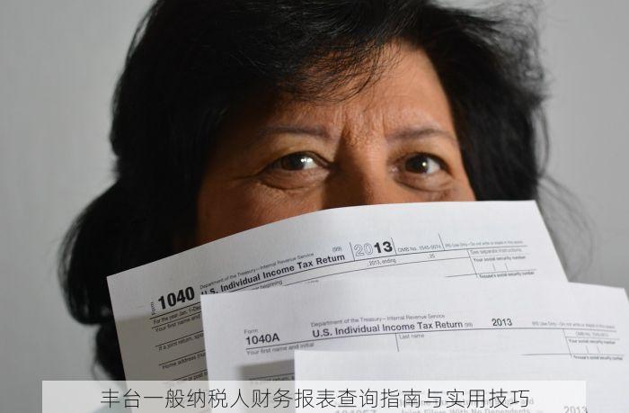 丰台一般纳税人财务报表查询指南与实用技巧