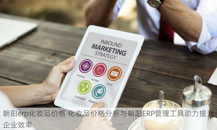 朝阳erp化妆品价格 化妆品价格分析与朝阳ERP管理工具助力提升企业效率