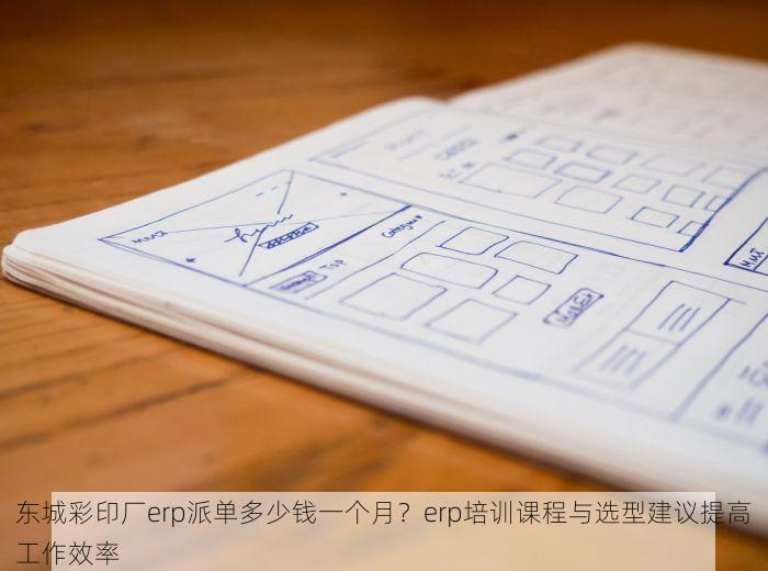 东城彩印厂erp派单多少钱一个月？erp培训课程与选型建议提高工作效率