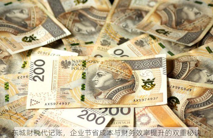 东城财税代记账，企业节省成本与财务效率提升的双重秘诀