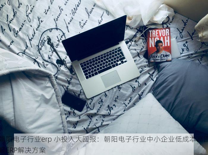 朝阳电子行业erp 小投入大回报：朝阳电子行业中小企业低成本高回报ERP解决方案