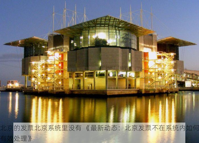 北京的发票北京系统里没有 《最新动态：北京发票不在系统内如何有效处理》