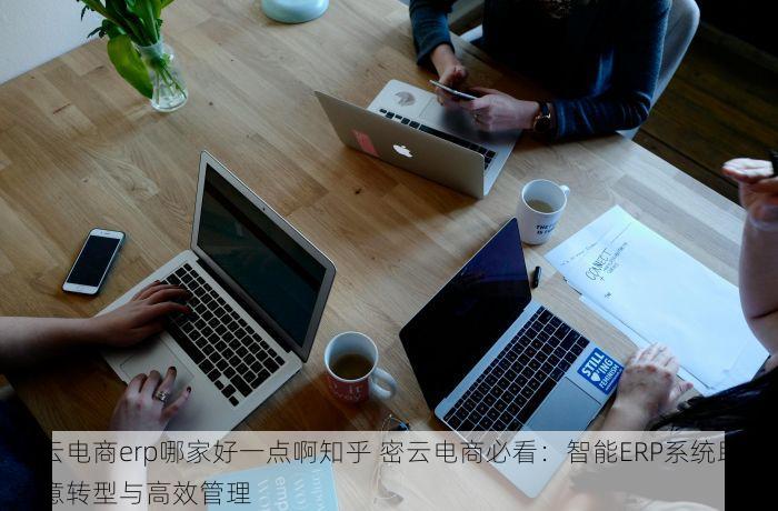 密云电商erp哪家好一点啊知乎 密云电商必看：智能ERP系统助力生意转型与高效管理