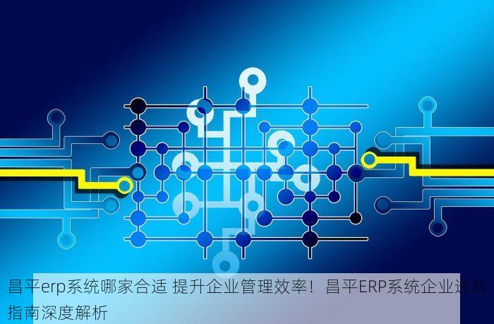 昌平erp系统哪家合适 提升企业管理效率！昌平ERP系统企业选购指南深度解析