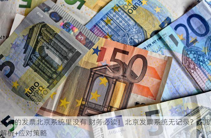 北京的发票北京系统里没有 财务必读！北京发票系统无记录？深度解析+应对策略